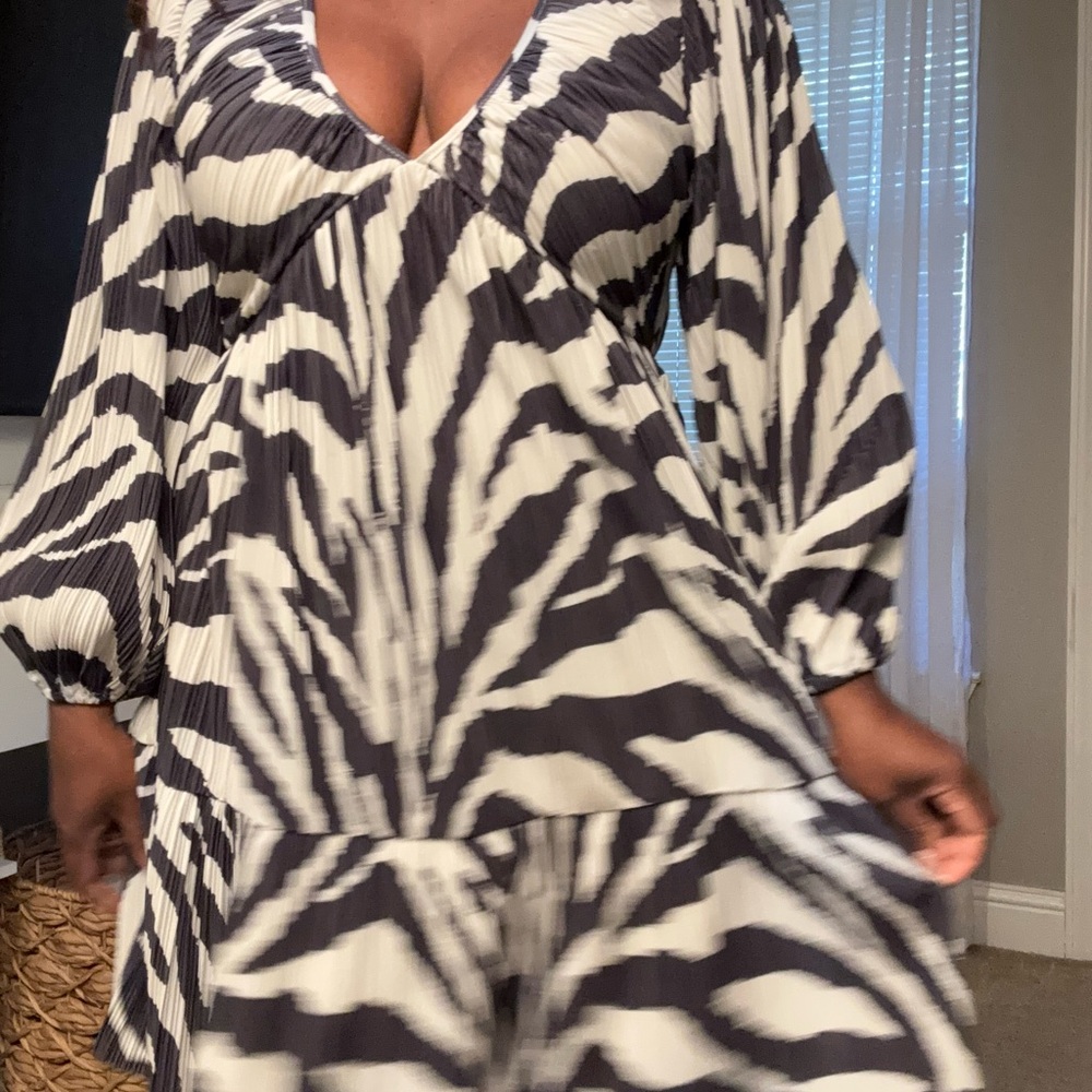 H&M Black and White Zebra Print Dress